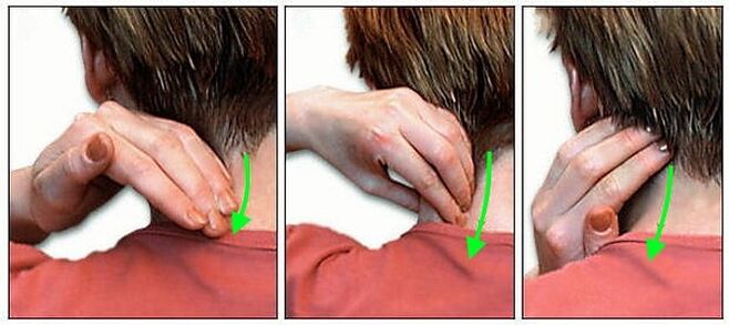 Auto -Neckmap des Halses